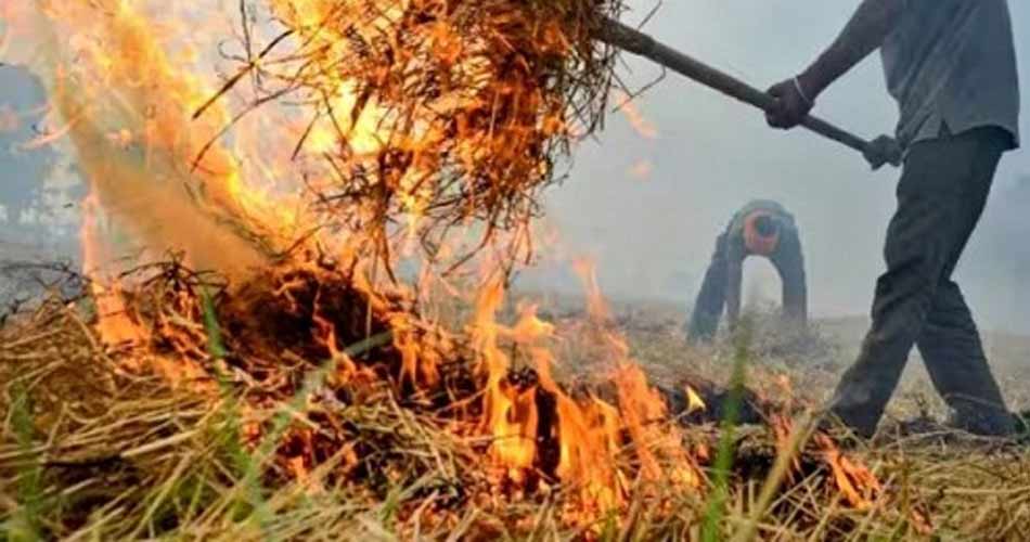 पराली जलाने पर सख्ती: 15 महीने के लिए ‘रेड कैटेगरी’ में दर्ज होगी खेत की जमीन, जुर्माना भी रहेगा बरकरार